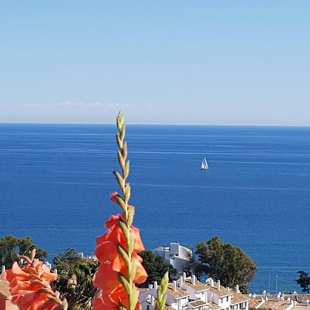 Garden Sea View Apartment Near Beach Sitio de Calahonda Extérieur photo